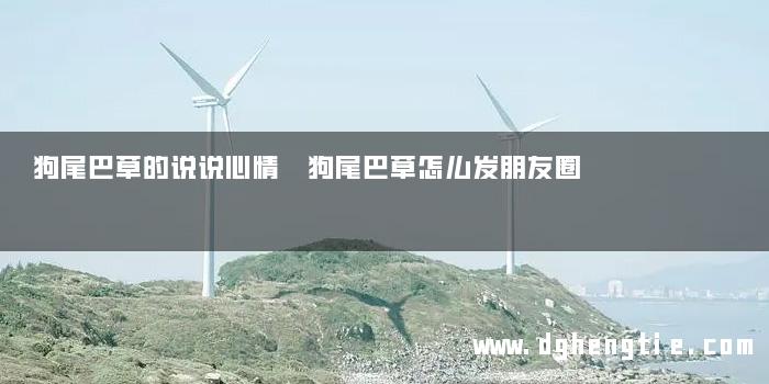 狗尾巴草的说说心情 狗尾巴草怎么发朋友圈